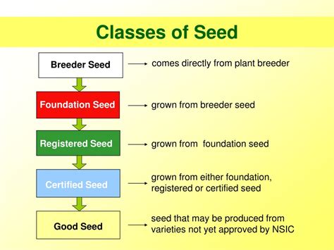 Classes of Seed .